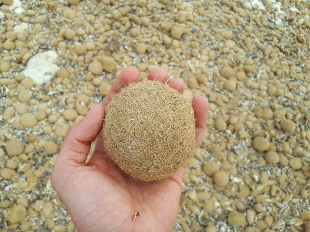 Ball Meer Strand Menorca