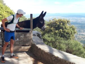 Esel Refugio Puig Alaro Mallorca