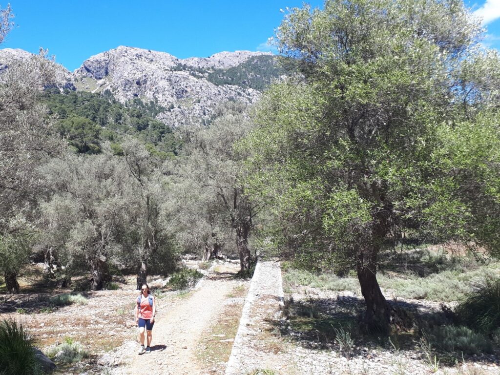 GR 221 Tossals Verds Tramuntana Mallorca