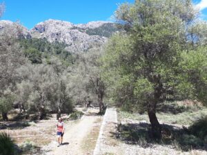 GR 221 Tossals Verds Tramuntana Mallorca