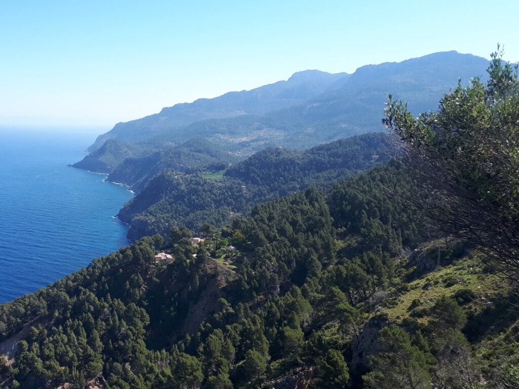 Nordseite grün Tramuntana Estellencs Mallorca