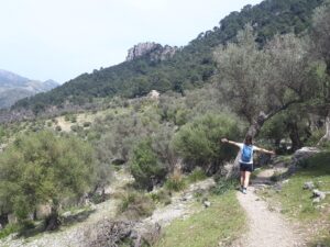 Rundweg Orient Alaro Mallorca