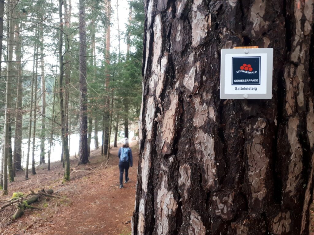 Genießerpfad Trail Wald Schwarzwald