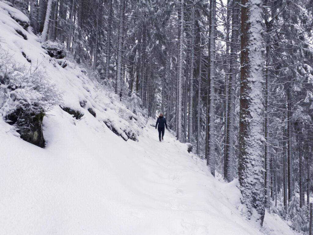 Schnee-Trail Nationalpark Schwarzwald