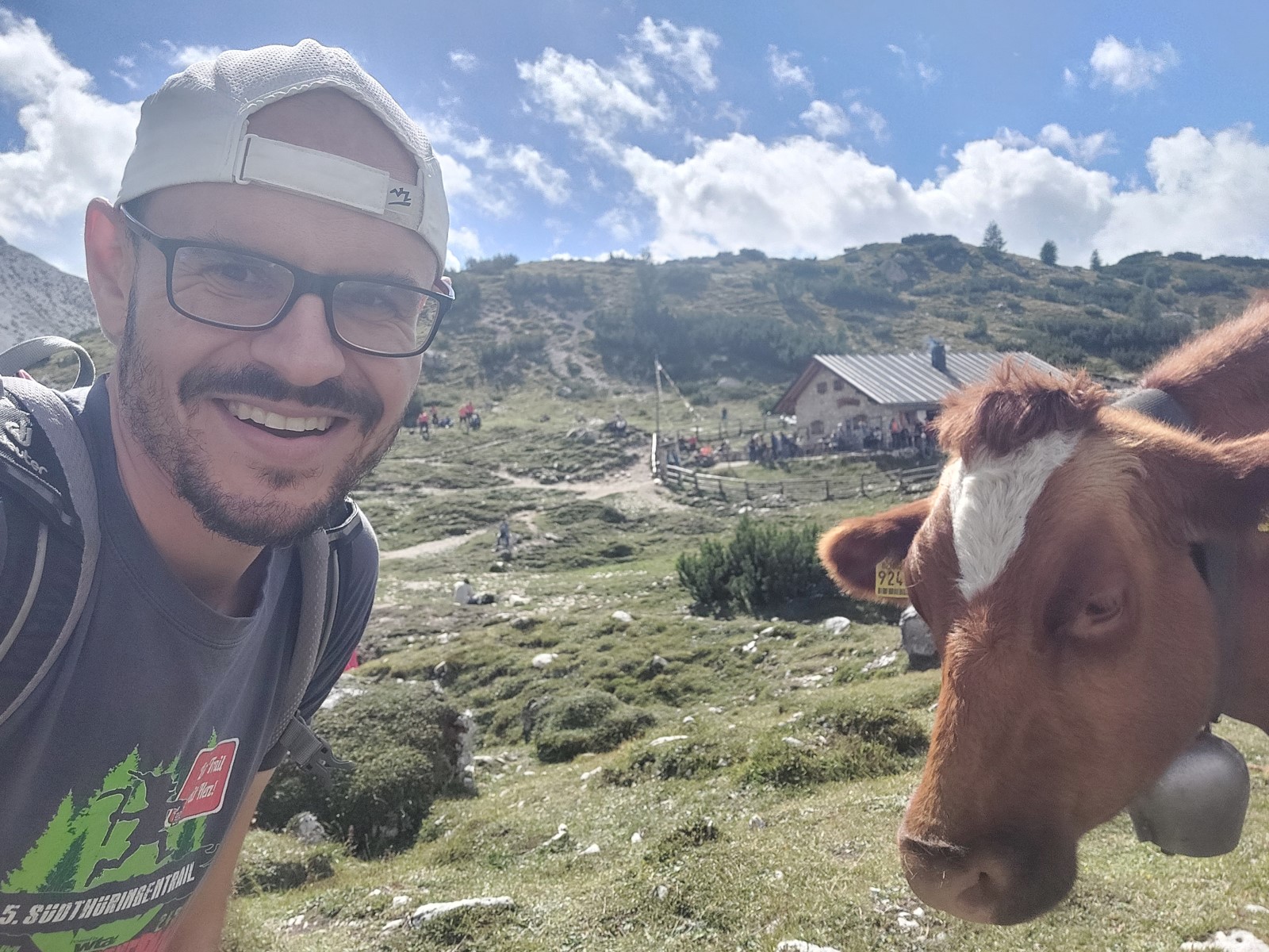 Kuh Selfie Langalm Drei Zinnen Dolomiten Italien