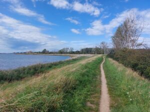 Strava Segment Salzhaff Trail Rerik Ostsee