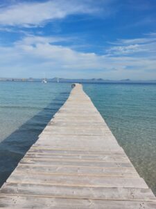 Steg Alcudia Mallorca Spanien