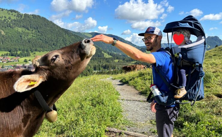 Oberjoch Iseler Kuh Allgäu